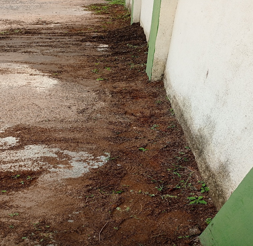 FCIThoothukudi's tweet photo. #SpecialCampaign6.0 at Agency Godown - #TNWC #Palayamkottai under the control of @FCIThoothukudi Cleaning of Depot Premises - (Before/After) https://t.co/kfLUNn3ijM