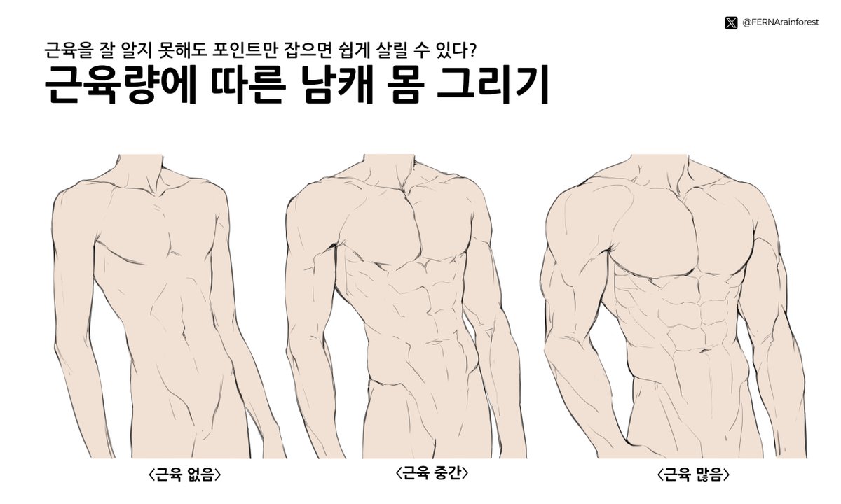 FERNArainforest's tweet photo. 《여러분이 남캐 바디 픽은?》

남캐 바디를 다양하게 그리기가 은근 어려워요.
근육도 전부 외워야 할 것 같고요💦
그런데 근육을 전부 외우지 않더라도 다양하게 표현할 꼼수는 존재한답니다.
잡아주면 되는 포인트가 따로 있거든요.

(자세한 서술+완성 예제는 드로잉북에서 선보일 예정입니다✨)
↓