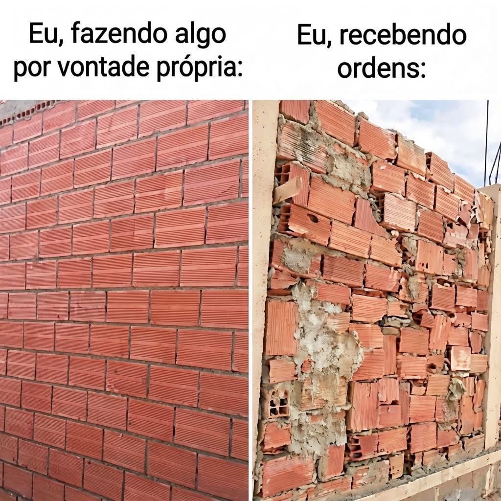 gozandoideia's tweet photo. https://t.co/MCVUADCEdI