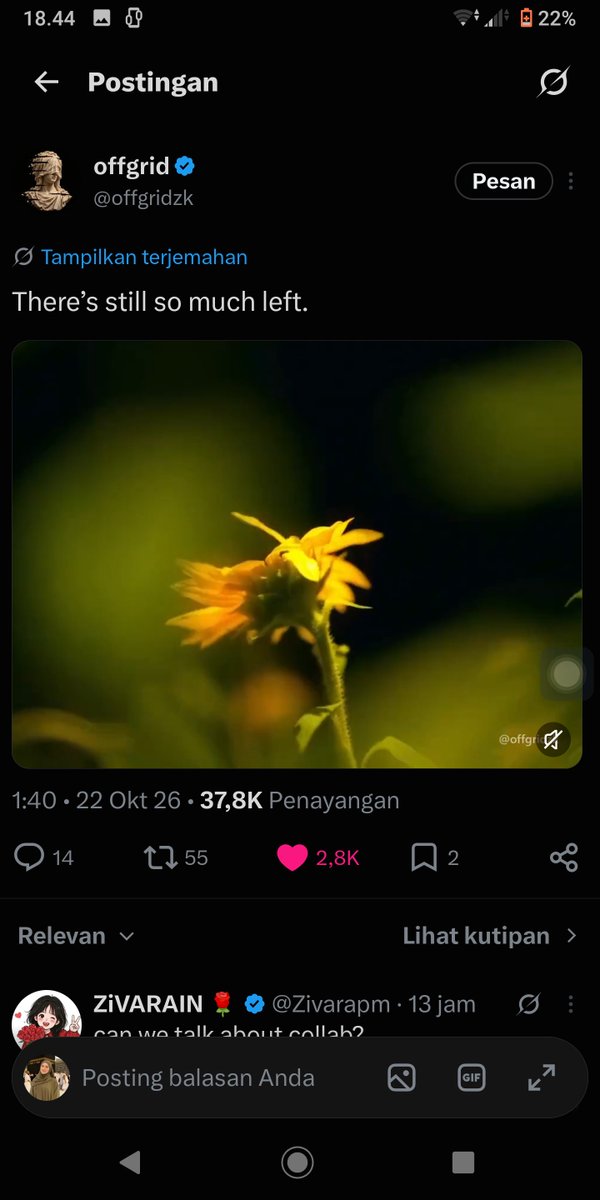 decsiel tweet picture