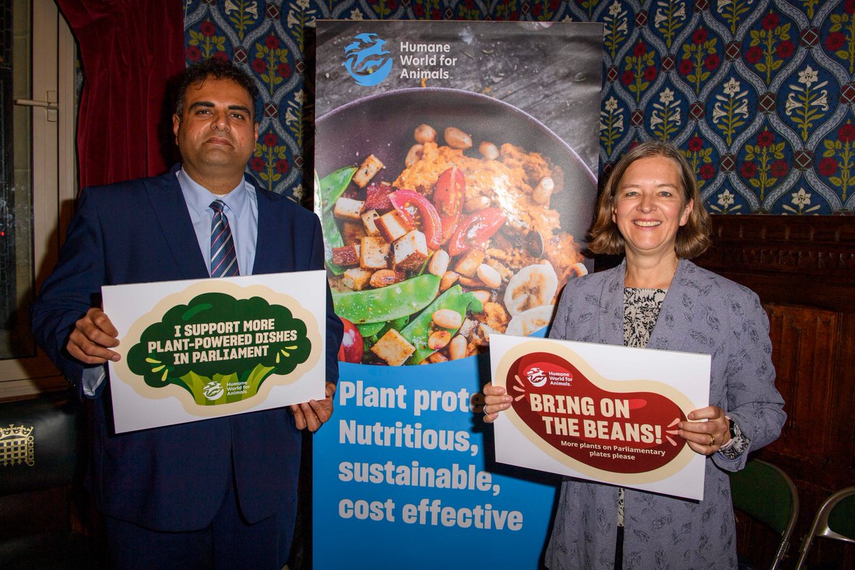 humaneworlduk's tweet photo. Our new report shows that @UKParliament could save £200k+/year via a 30% swap from animal to plant proteins. Thanks @NavPMishra for hosting our launch event, and to @PutneyFleur for speaking in support of a more plant-powered Parliament! Read the report 🌱 https://t.co/6mDFMmg8B2 https://t.co/8A0HeuRkZG