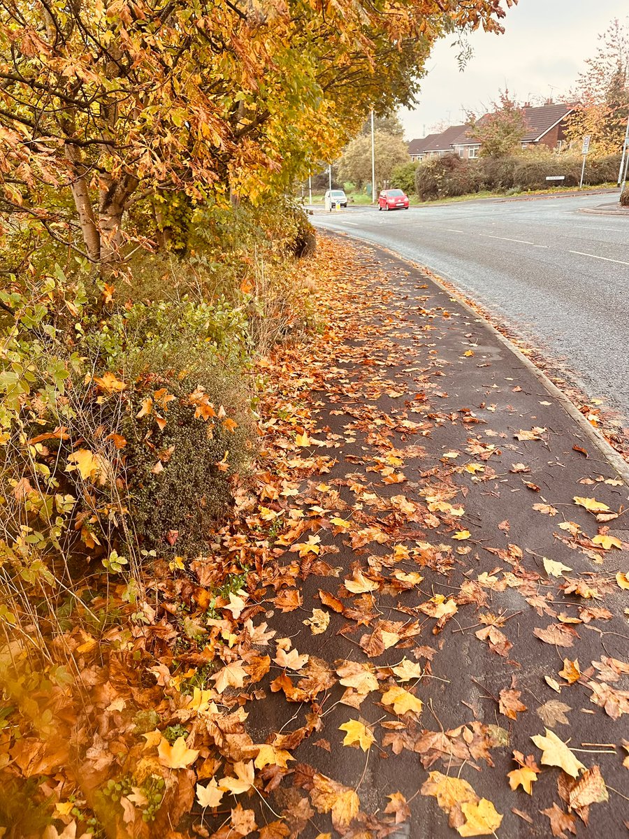 Clean_Leeds's tweet photo. The de-leafing season is now upon us, but we're ready for them here in the south &amp; we got on the case a week ahead of schedule to help keep our streets clean and safe @SaferLeeds @LeedsCC_People @LeedsCC_News @Dawsongroupplc  #lovewhereyoulive #Leafs #AutumnLeafWatch #AutumnUK https://t.co/Se9VgvqomO