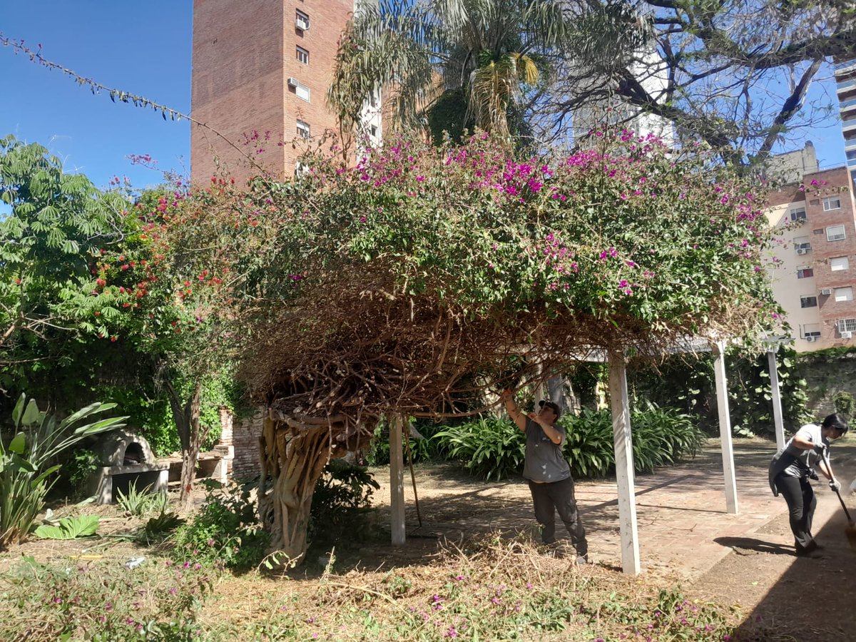 _SantaFeCapital's tweet photo. La Municipalidad realiza tareas de limpieza y mantenimiento en los espacios verdes de los museos de la ciudad, con trabajos en canteros, poda y corte de césped para mantenerlos en buenas condiciones. https://t.co/xAa43HEhh9