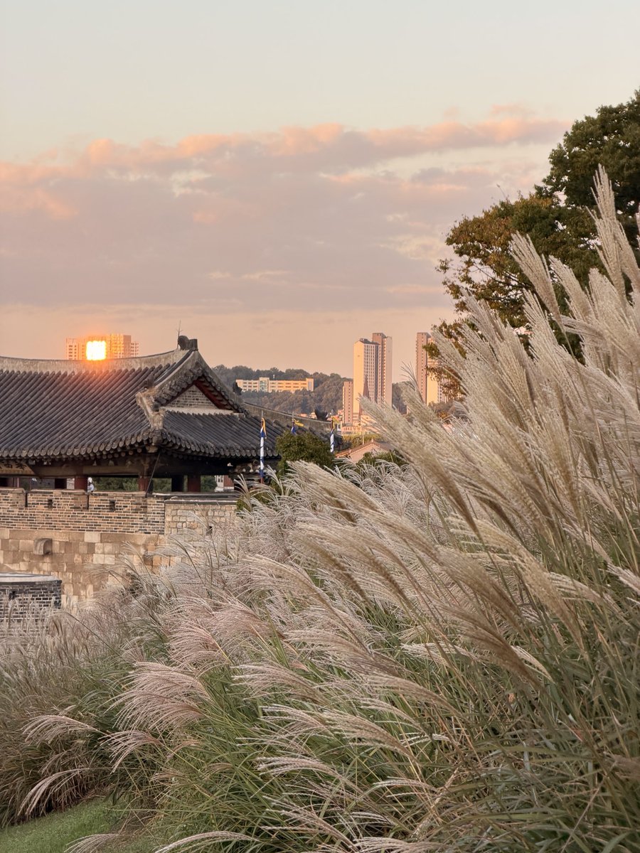 Pupehappy___'s tweet photo. ชอบบรรยากาศช่วงฤดูใบไม้เปลี่ยนสีมาก 🍂 https://t.co/xrRzJ64teb