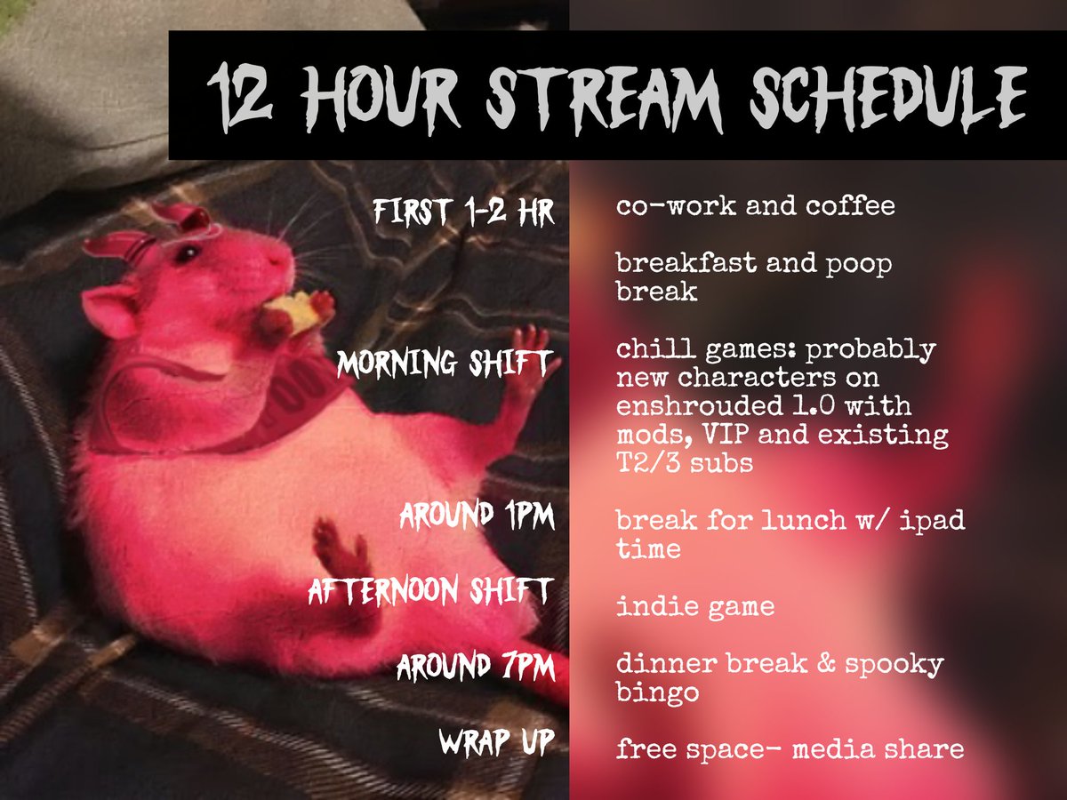 RubyVoxx's tweet photo. loose schedule for today’s 12 hour stream! 
live in a few minutes 💗⚠️ https://t.co/JSHvBP8nxb