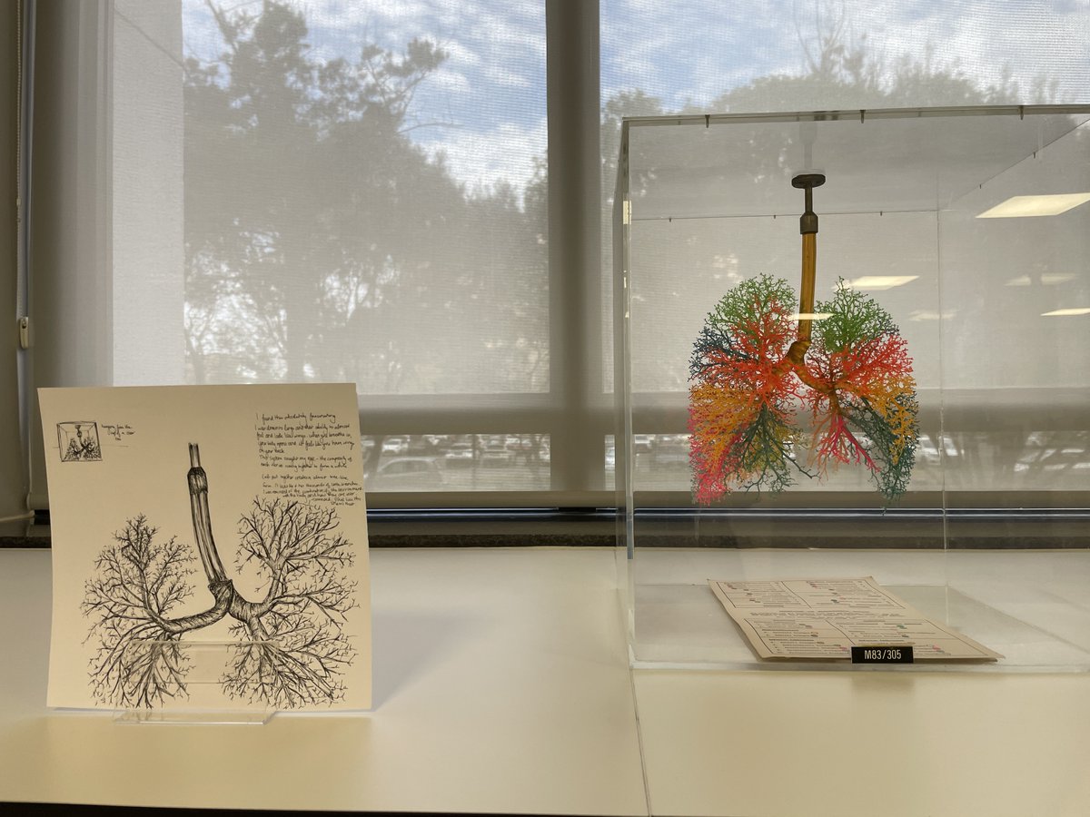 SUhealthsci's tweet photo. HeartWorks 2026 brings art and biomedical science together, as SU students explore new ways of understanding the human body.

Read more: https://t.co/62jekVGiB8
#TygerMaties #FMHS https://t.co/ZonNCE2JCB