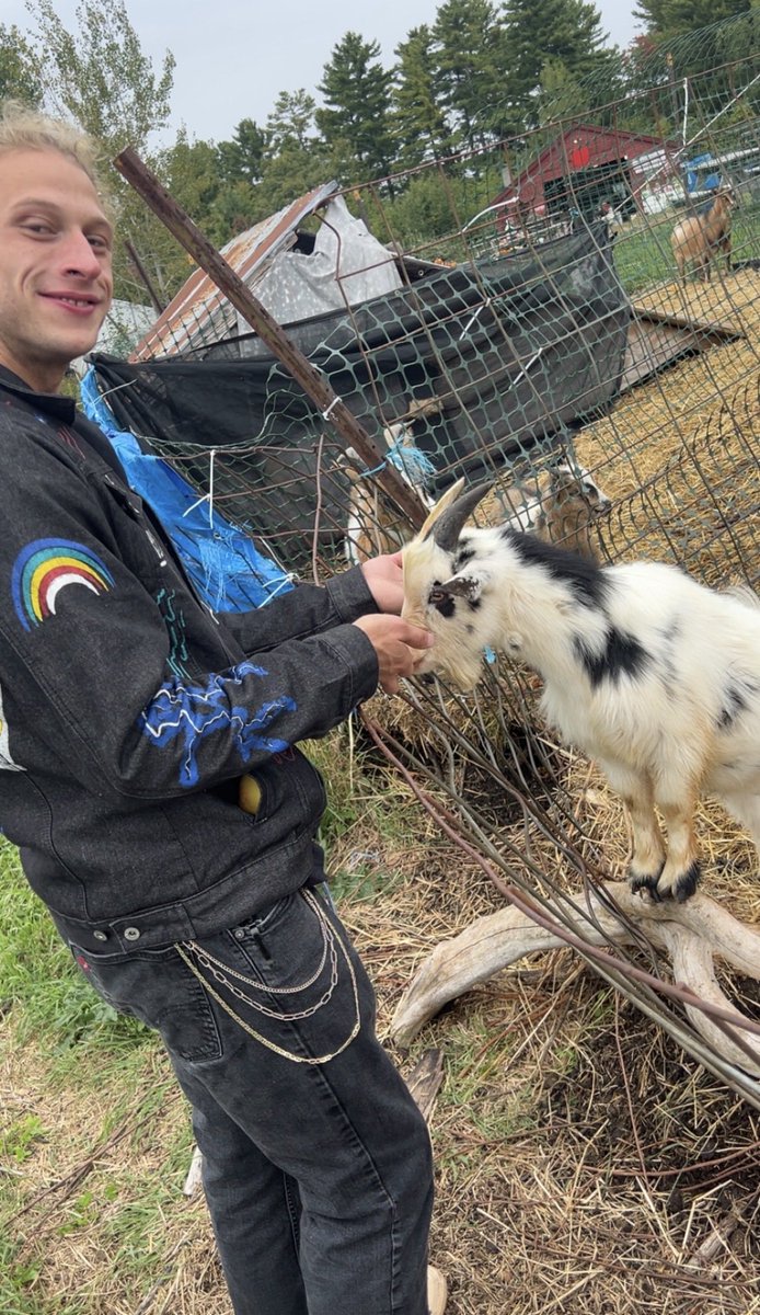 Lo_Lyffe's tweet photo. This guy was so awesome he kept coming over to me whenever I stood near the fence and ate any fruit I gave him 😂 https://t.co/Pzb7ACyxtE