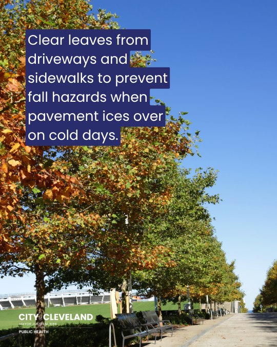 CleDPH's tweet photo. Its Fall Y'all! That means its time to roundup your leaves! 
Leaf debris in gutters, storm drains, and on pavement can cause fall hazards, icy roads, and leaky roofs come winter. Take the time to protect your home and yourself. https://t.co/aBHVdmVFVa