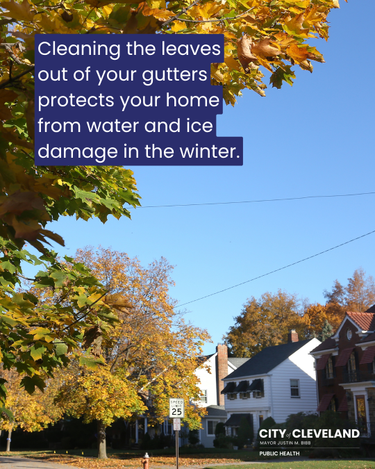 CleDPH's tweet photo. Its Fall Y'all! That means its time to roundup your leaves! 
Leaf debris in gutters, storm drains, and on pavement can cause fall hazards, icy roads, and leaky roofs come winter. Take the time to protect your home and yourself. https://t.co/aBHVdmVFVa