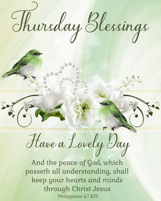 Catangels's tweet photo. Philippians 4:7† https://t.co/EqWVC6vEqH