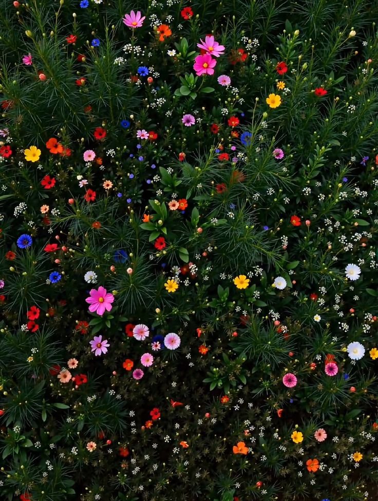 dreamyflowerrs tweet picture