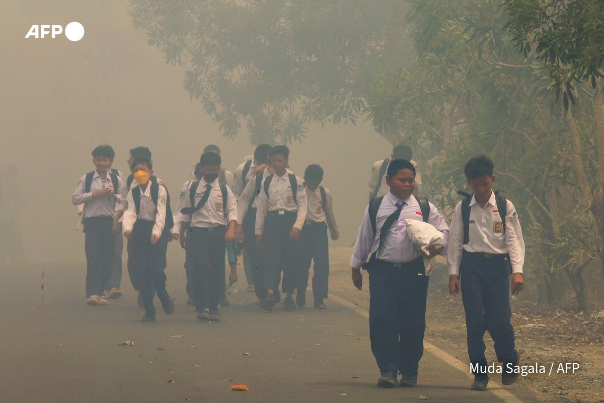 AFP's tweet photo. After months of fires in Indonesia that have caused thick regional haze, attention is turning to whether companies can be held accountable for the blazes and resulting air pollution

https://t.co/BfHB4MI5JT https://t.co/ctgLkMhn5k