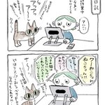 Photo by とあこ (@toaco)