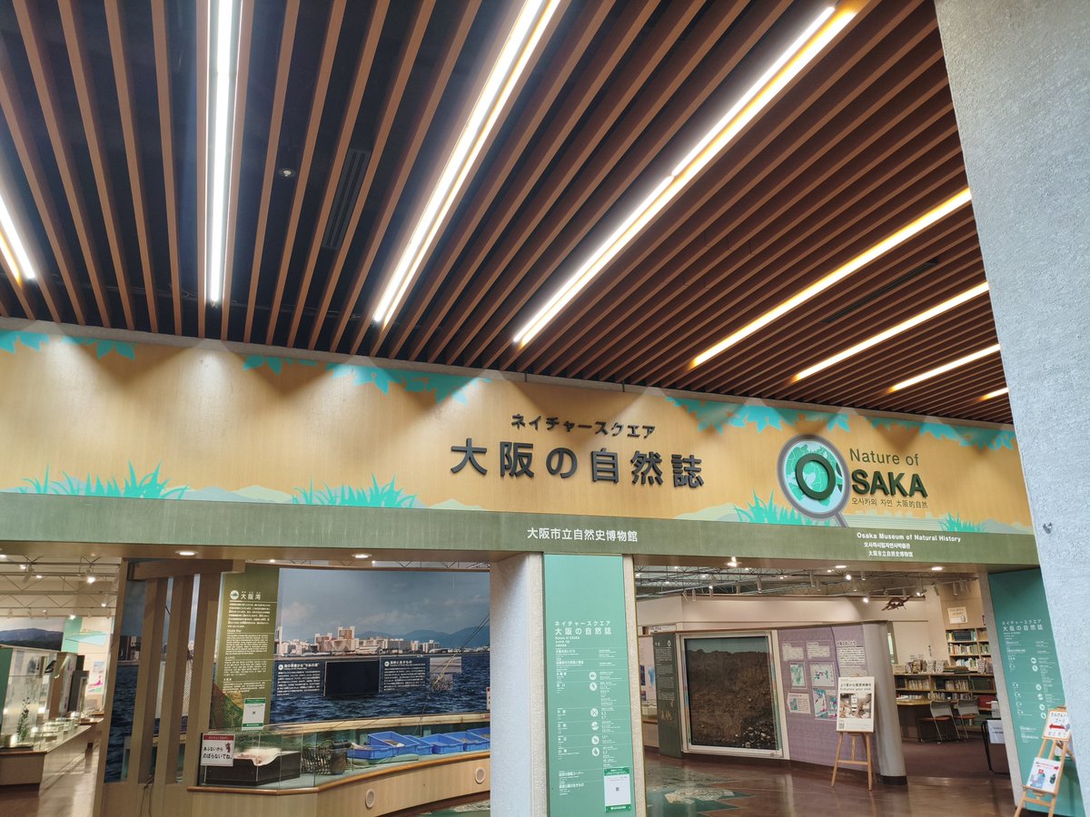 minami_cls's tweet photo. お昼にパン屋さんのガチパンを食べた後長居公園で｡｡｡"8-(*o･ω･)oﾃｸﾃｸ https://t.co/TBdcEJoshk