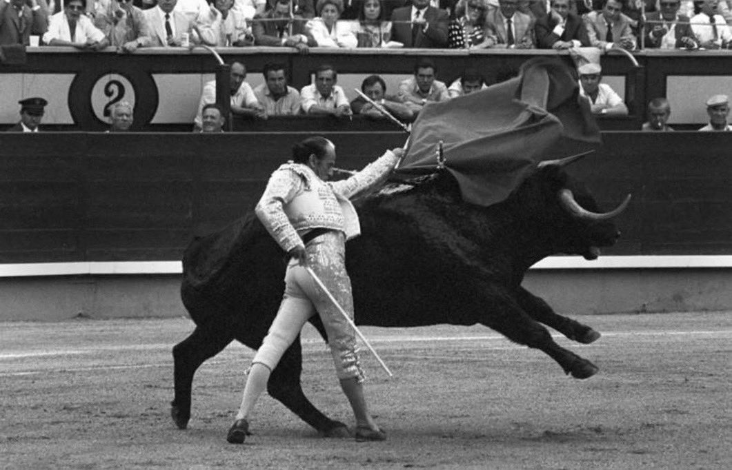 GomezGuadalupeG's tweet photo. "Yo he sido un torero toda mi vida de torear bien, o si no de lidiar y matar. No puedo mentirme ni traicionarme, no puedo pegar espaldinas y cosas de esas. Yo sólo toreo".

Antoñete https://t.co/yXqkfMXbWJ