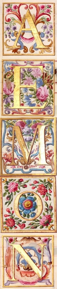 gojossartorius tweet picture
