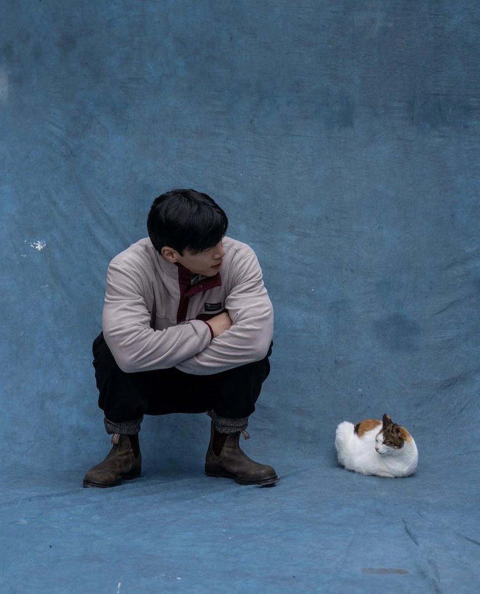 mu0_ne0's tweet photo. 고양이가 되고싶다..... https://t.co/OZVVUedW7F