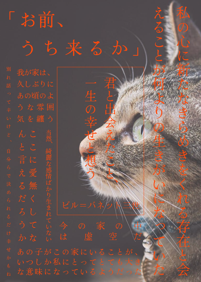 yamadai_bunge24's tweet photo. 八峰祭にて販売する部誌『ある・ふらーず64号』より
ビル＝バネット三世「君と出会えたこと、一生の幸せと想う」の紹介です！！

どうも、ビル＝バネット三世です。
日々、読書に励んでます。
毎日好きで溢れてます。
貴方の好きも溢れてますか。

＃山大文芸部
＃山形大学八峰祭2026
＃ある・ふらーず https://t.co/zz08522fnG