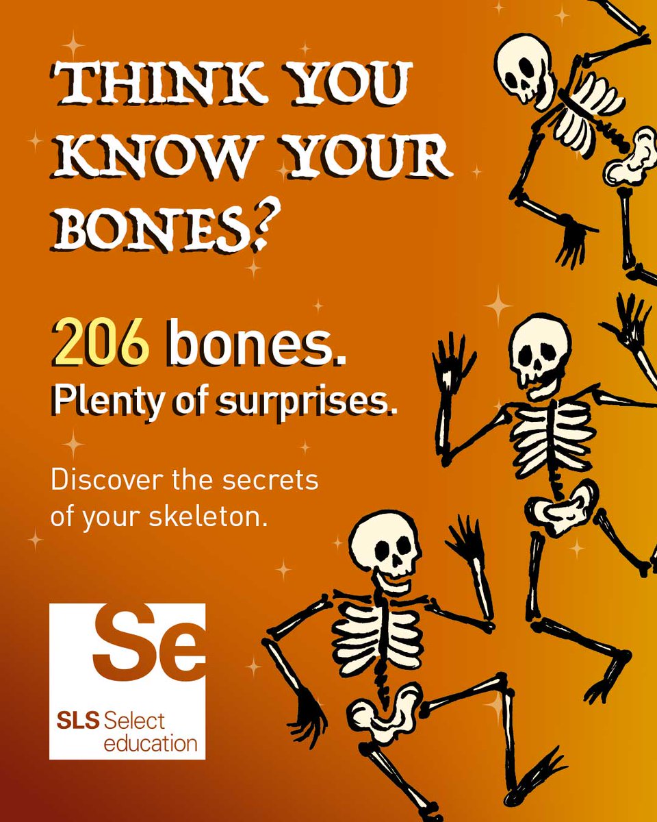 SLSSelectEd's tweet photo. 🎃💀 Did you know your body has 206 bones? 

Uncover some fascinating facts about the human skeleton this Halloween!

🔎 Learn more: https://t.co/PFfI4T4Rlx

#Anatomy #ScienceEducation #Bones https://t.co/nsHIDqnIsr