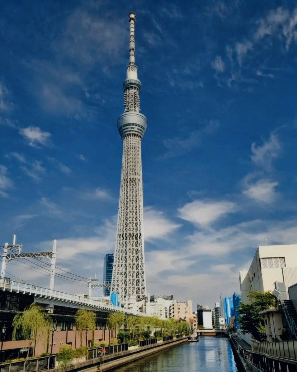 selmakunduz's tweet photo. Tokyo, Japan https://t.co/OgXVa0V0kM