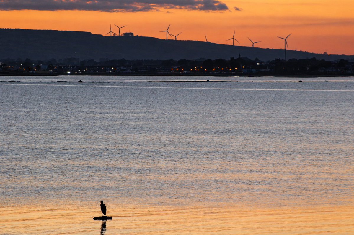 patrickkenealy's tweet photo. Along the Gold Coast road,  Ballinacourty, Co Waterford at sunset. @deric_tv @barrabest @VisitWaterford @DiscoverIreland @discoverirl @DungarvanTIO @Failte_Ireland @welovewaterford @VisitWaterford @WaterfordPocket @WaterfordGrnWay @GoToIreland @DungarvanTIO @GoToIrelandUS https://t.co/UshMgfOiqX