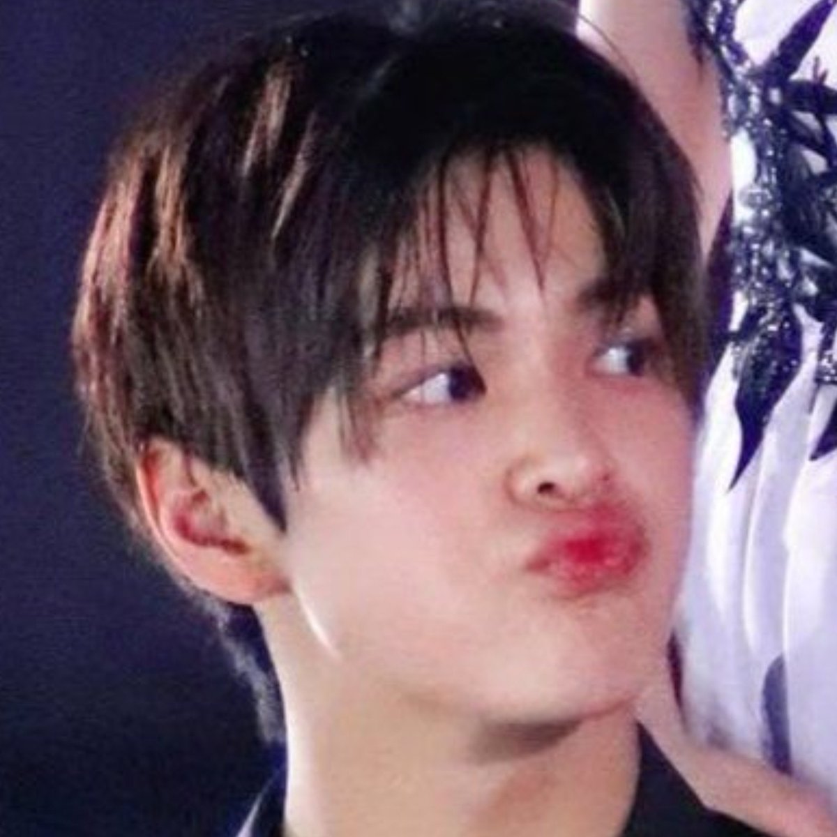 cortisfeel's tweet photo. missing noot noot keonie hours https://t.co/I5oyUkH7N1