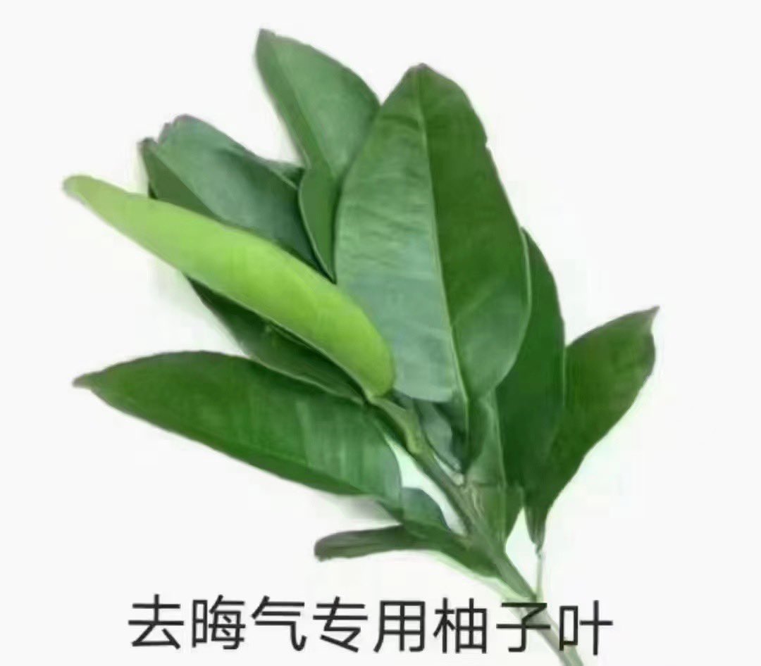 elchamow's tweet photo. 蹲炮友！蹲炮友！有没有见面就打炮，平时不联系的.....😅 https://t.co/hS5eiAwqBW
