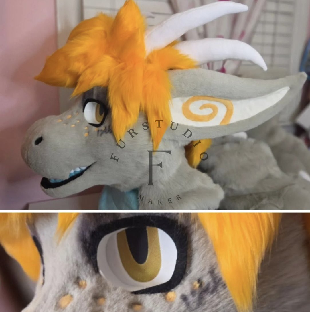 Furstudioo6's tweet photo. ✦ 𝙁𝙐𝙍𝙎𝙏𝙐𝘿𝙄𝙊𝙊6 ✦
𝘾𝙊𝙈𝙈𝙎 𝙊𝙋𝙀𝙉 

✴️🐲 Finished Full Partial Commission! (Plus Wings)

This dragon has been such a fun project to work on! 💙✨ So many details went into bringing this derg to life, from the fully custom TPU headbase and XL ears to the huge detailed tail and backpack-style wings!

✦ Features ✦
• Custom-modeled, one-of-a-kind TPU headbase + XL TPU ears
• Fully detailed maw and teeth
• Armature tongue
• Double-brushed, sewn hairstyle
• XL tail with cut details and a zip for removing stuffing
• 5-finger handpaws
• Outdoor plantigrade feetpaws
• Backpack-style back wings
• Fully lined arm sleeves

Can't wait to see this dragon out and about! 

✦ Commissions are open! DM for inquiries ✦

#fursuitmaker #fursuitcommission #dragonfursuit #fursuit #furryfandom #fursuitpartial #fursuitwip