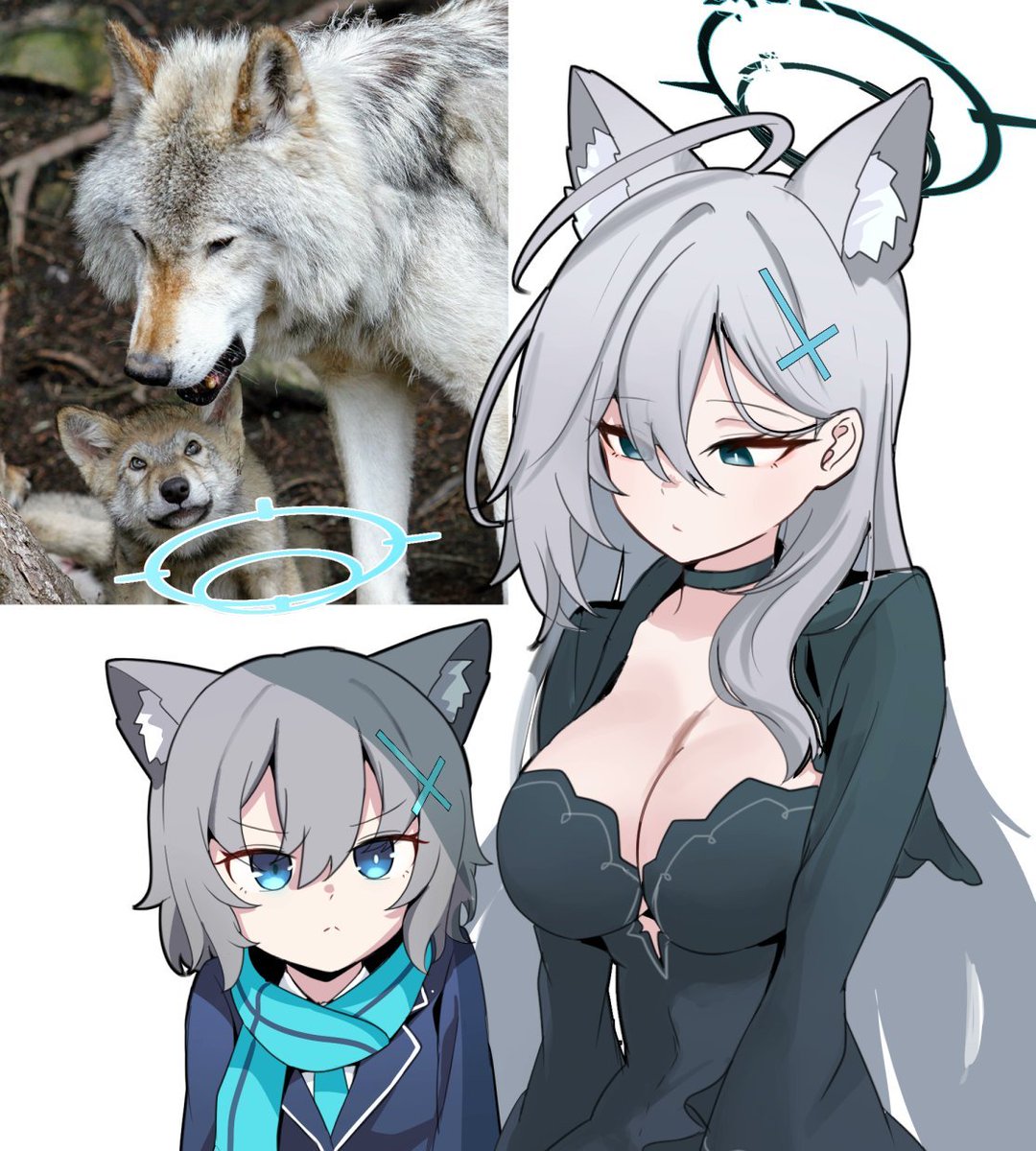 Lilac_n_Halo's tweet photo. 🐶 🐺 https://t.co/rphj9waesj