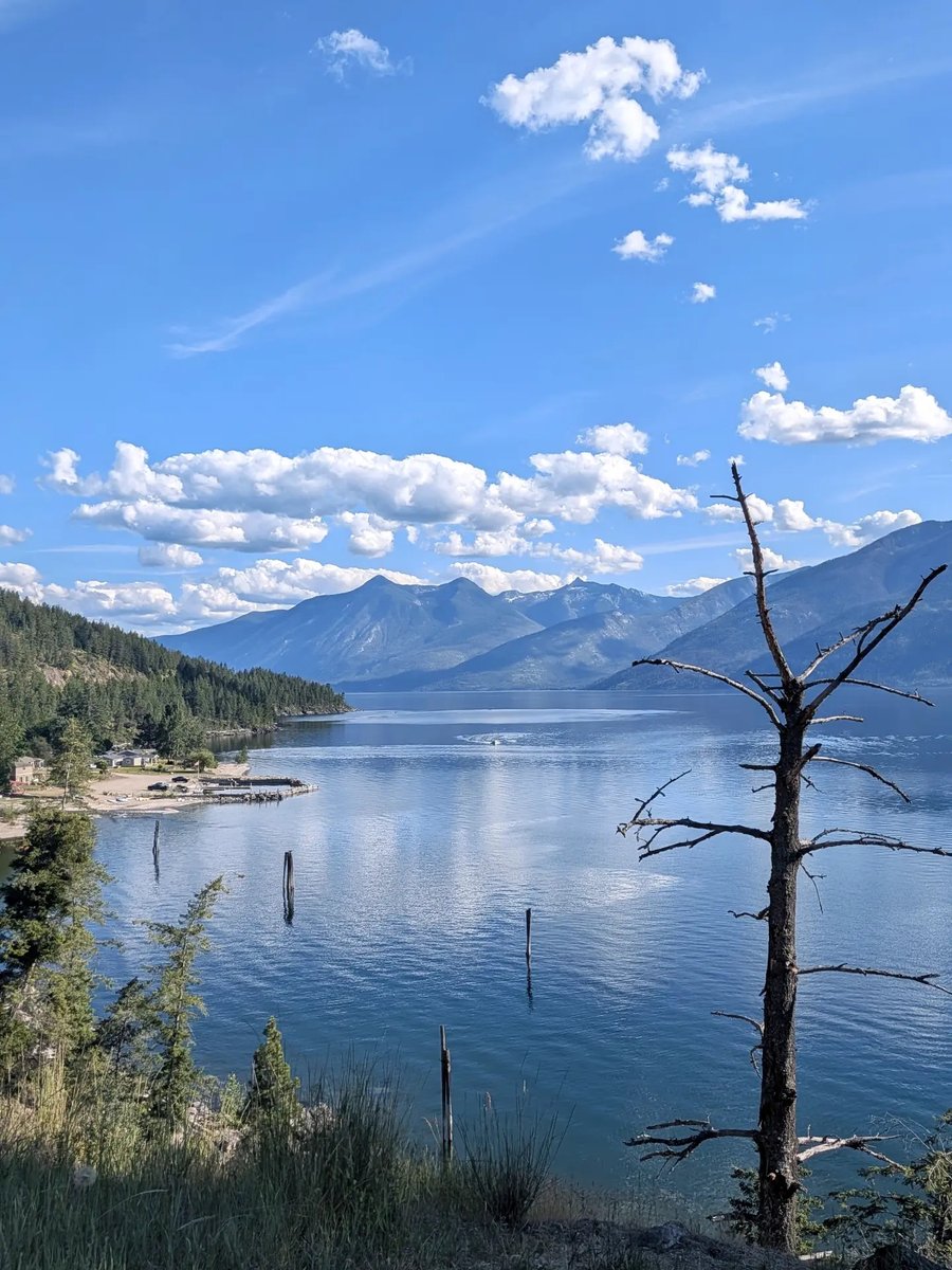 chris_jacksoner's tweet photo. Week 3 | July 2–8, 2026

Riding with two cyclists from Wales, I crossed Kootenay Lake, reached Cranbrook, then headed north through Kootenay National Park. After wildlife sightings and a bear encounter, I finally arrived in Banff National Park. https://t.co/PgmC0rkUjx