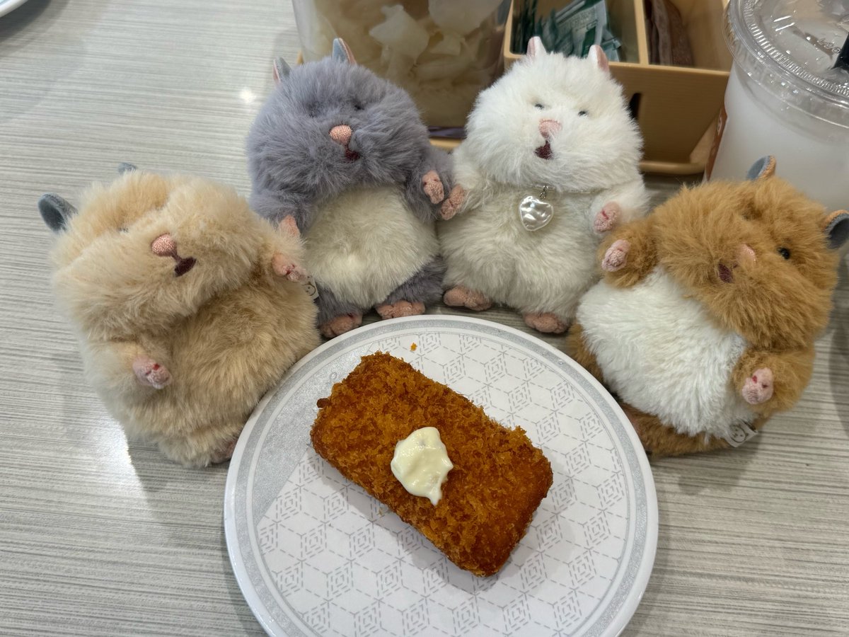 girihapi88's tweet photo. ごしゅじんこれなーに？
ハムカツやで
は、はむかつ⁉️🐹

#はむにぎり
#はむにぎりのいる暮らし https://t.co/HKpqLgqMNF