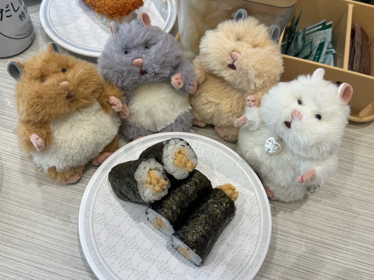 girihapi88's tweet photo. ごしゅじんこれなーに？
ハムカツやで
は、はむかつ⁉️🐹

#はむにぎり
#はむにぎりのいる暮らし https://t.co/HKpqLgqMNF