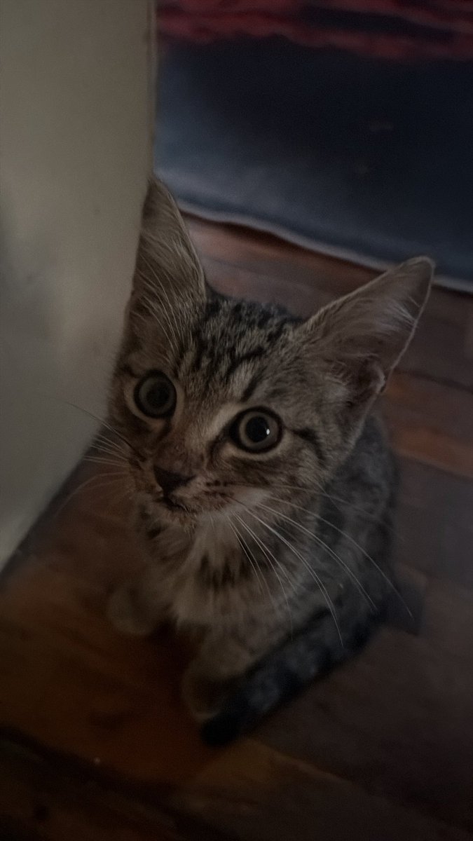 thetejagirl tweet picture