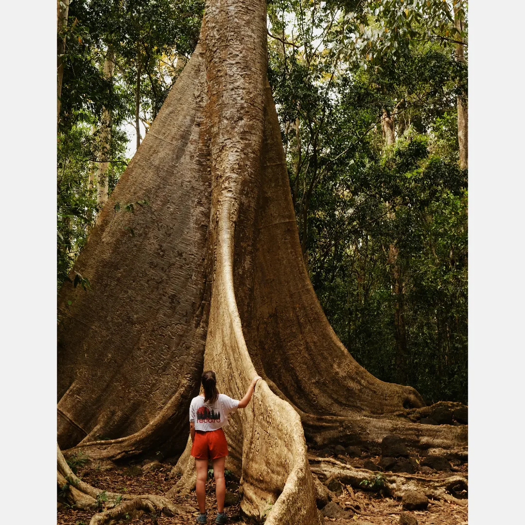 BookTiya's tweet photo. Through the jungle to the lake, where crocodiles lie in wait. https://t.co/T8MB9WUuvZ