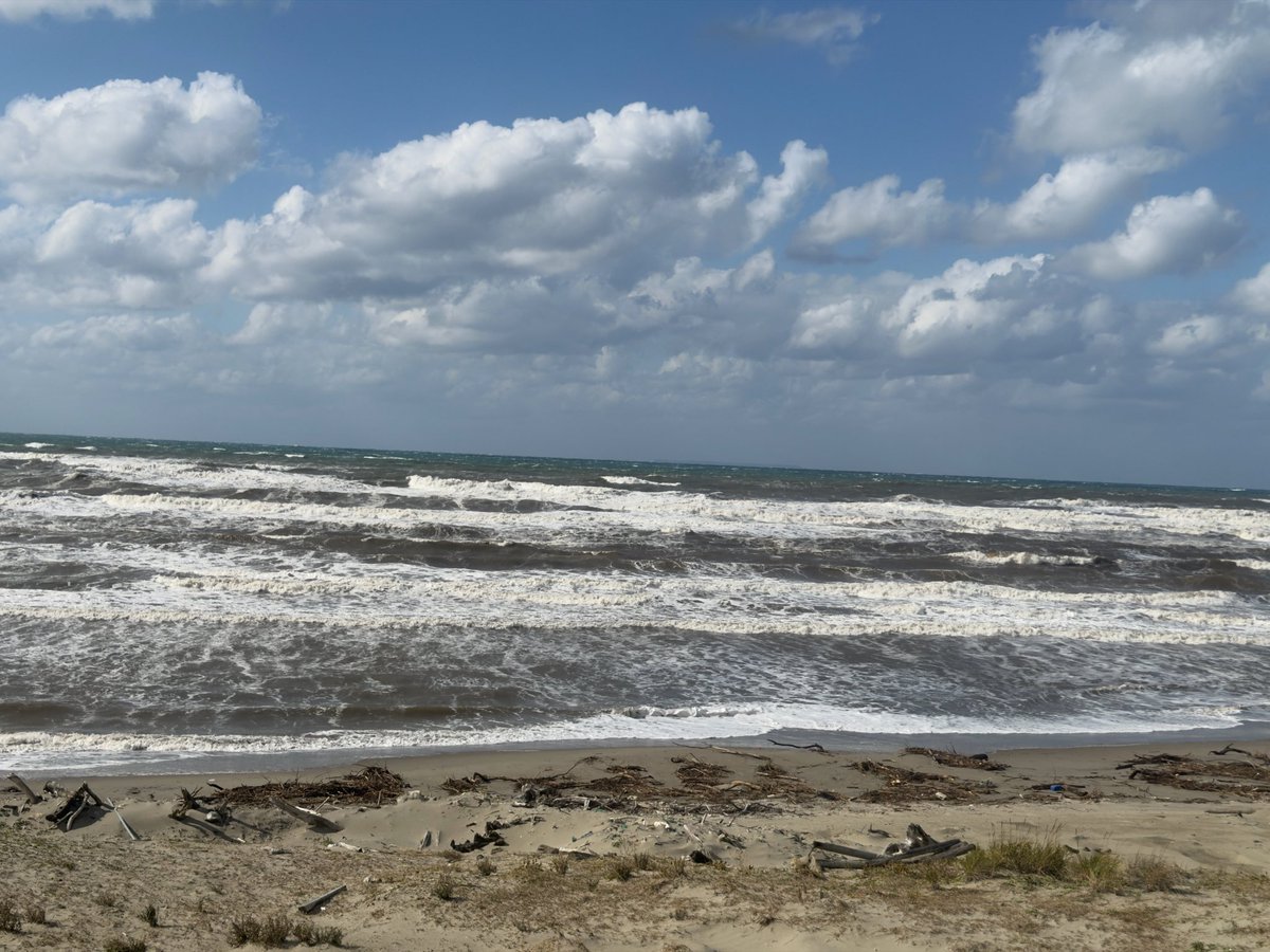 Yajin1089's tweet photo. ＜生活保護なのにホームレス　47日目＞

今日の海の様子です。浜辺も流木や漂着したゴミですごいことになっています。

砂嵐もすごいです。正直、呼吸器系に病気になってもおかしくありません。

動けません。
私の体調が全く関係なくても、自然の状況やお金、入浴や電車の本数的に1日では動けません。

動かなければならない例のことがあって、それが今、なかなか動けないことでかなり精神状態を悪く支配します😰

今日は何もしていないです。
ただファミマに行って、あとはずっとテントの中で横になっています。
でも疲れています😓

打ち明かせない事情や心境がたくさんあります。
体験記として事後にであれば打ち明けられると思いますが、リアルタイムの方が価値はあるでしょうか？

それができないのが、リスクをとっていないということなのでしょうか？

ひとまず気力がありません。
お金の心配もあるからかもしれません。
台風もアレですが。

今の私は基本的には、ここでの生活に集中しなければ危ないです。
それがXにうつつを抜かして、余計なトラブルに遭って、それが生活への集中を妨げるほどになっています。
早く片付けたいですが。
この先のことを言えません。吐き出したいですが。

　不思議の国のアリスのお茶会のように話題を変えましょう。
ちょっと記憶がごっちゃになっていますが、私が今月、買いたいものがある、と話していたものがなんだったかはもうお話ししていたでしょうか？

11月になったら、なんて密かに考えていたのですが、どうでしょうね。
すでに今日結構寒いです。
寝袋は快適温度0度のものなので、一日中包まればやり過ごせそうですが、まぁ現実的ではないですよね。

先日ホームセンターに立ち寄った時、化繊の毛布的な寝袋的なのがあって、1万円でしたが、肌触りや暖かさはまぁまぁいい感じかなーとか思いました。
が、まぁその手のものは多分この使用環境だとすぐに肌触り悪くなりますよね。
なんせ不潔な環境ですから。

テントの中の気温をどう保つか、なんか方法はあるのですかね？
風は入らないはずなんですが、風が発生するのですよ。
外で風が発生してテントが揺れて、内部の空気も瞬間的に動くので。
それが結構寒いのです。

欲しいと言っていたものを買うか、防寒グッズを買うか、まぁ普通なら後者でしょうね。

防寒グッズなら、寝具・スウェットもう1セット・ダウンジャケット・保温タイツ？などでしょうか？
バスタオルも欲しいかも。今のところ、温泉後は温泉のタオルを絞ったもので拭いているので。
でも邪魔になるだけかなぁ？

これらを買っちゃうと、また欲しいものが買えませんね。
誰かお安く譲って下さらないかな？
まぁ無理でしょうけれど。中古でも高いもんねぇ😥

もう時期的に多分自炊もやらなくなりそう。とにかくテントから出るのがしんどい気温になりそうですし、火を焚くとジャケットなどが臭くなると洗濯できないで迷惑になりますからね。

はぁ。