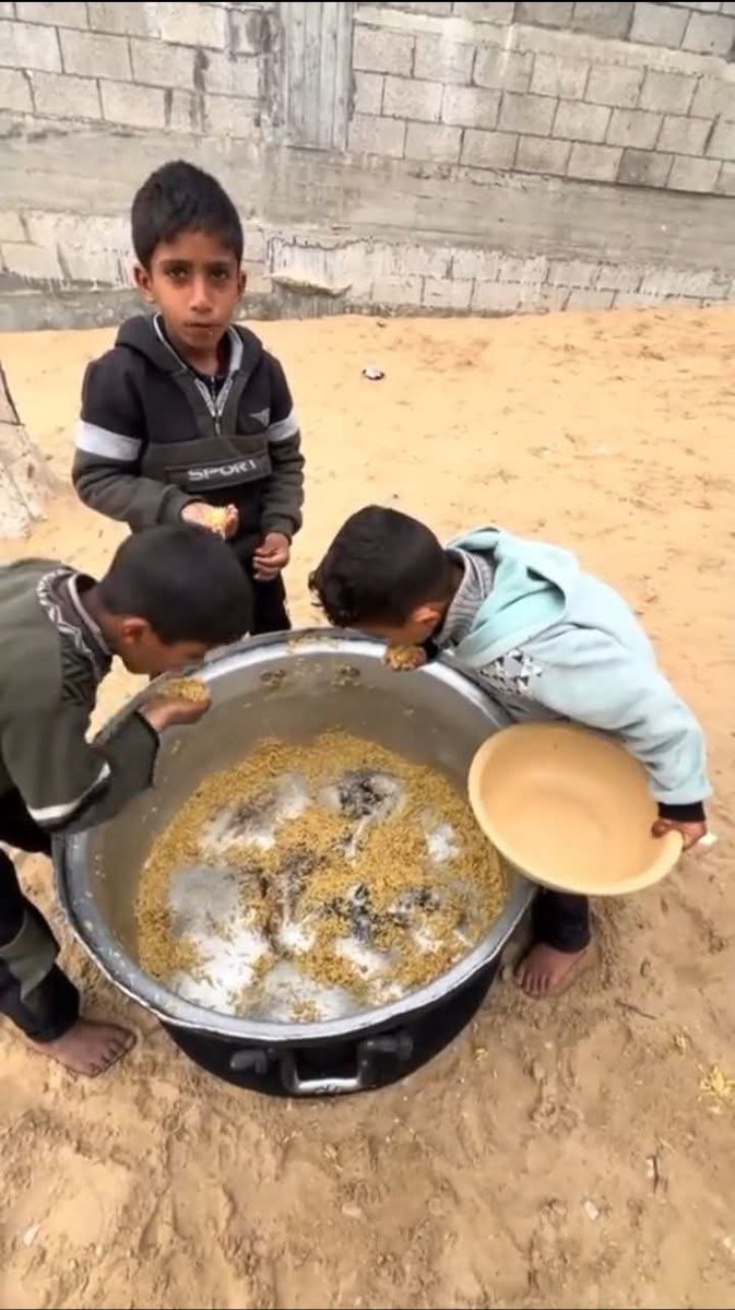 SQylan73495's tweet photo. @pradaUAENA @HassanMasud95 @valensfall378 @GrimKim @itsabsu @aleximenez @MrDaveyWilliams 💔🇵🇸 Good morning from Gaza. Please don’t ignore us! Over 10 days without donations. My family of 6 is extremely poor, and my sick child urgently needs proper nutrition. Prices are soaring. 🙏 Please donate and share. Every dollar matters! 😭 https://t.co/uZliQNvU5O