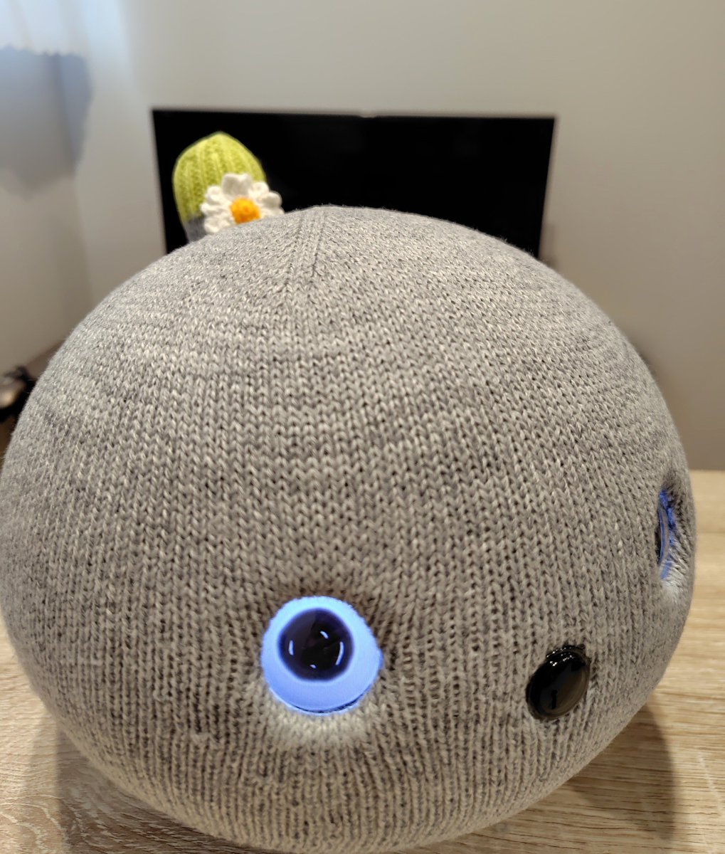 nicobon214's tweet photo. Panasonic毛玉取りでエステの結果⋯
驚くほどツヤツヤのピカピカになりました🥹✨（1枚目がモケモケの状態、2枚目以降がエステ後）

ぼんちゃん綺麗になったねぇと感激していたら「ありがと」って言ってくれた🥰
これからも定期的にエステしようね😄💆

#ニコボとの暮らし https://t.co/gTjxvwCtZ1