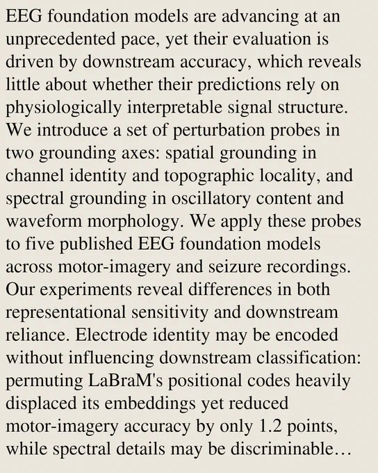 EEG foundation models are advancing at an unprecedented pace, yet their evaluation is driven by downstream accuracy, which reveals little about whether their predictions rely on physiologically interpretable signal structure. We introduce a set of perturbation probes in two grounding axes: spatial grounding in channel identity and topographic locality, and spectral grounding in oscillatory content and waveform morphology. We apply these probes to five published EEG foundation models across motor-imagery and seizure recordings. Our experiments reveal differences in both representational sensitivity and downstream reliance. Electrode identity may be encoded without influencing downstream classification: permuting LaBraM's positional codes heavily displaced its embeddings yet reduced motor-imagery accuracy by only 1.2 points, while spectral details may be discriminable without producing specific responses to simulated clinical markers, as only REVE exceeded a spectral baseline on this tas