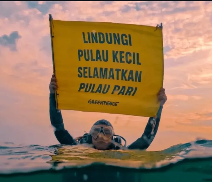 seyay_'s tweet photo. "greenpeace pake warna kuning, ngikutin demo prancis"

sebelumnya greenpeace udah konsisten pake warna kuning, protes pulau pari juga pake warna kuning. tau gak? pasti gak tau, pendukung rezim peduli apa soal pulau-pulau yang terancam. apa nyampe beritanya ke kalian? belum tentu. https://t.co/o7n5nXQR3B