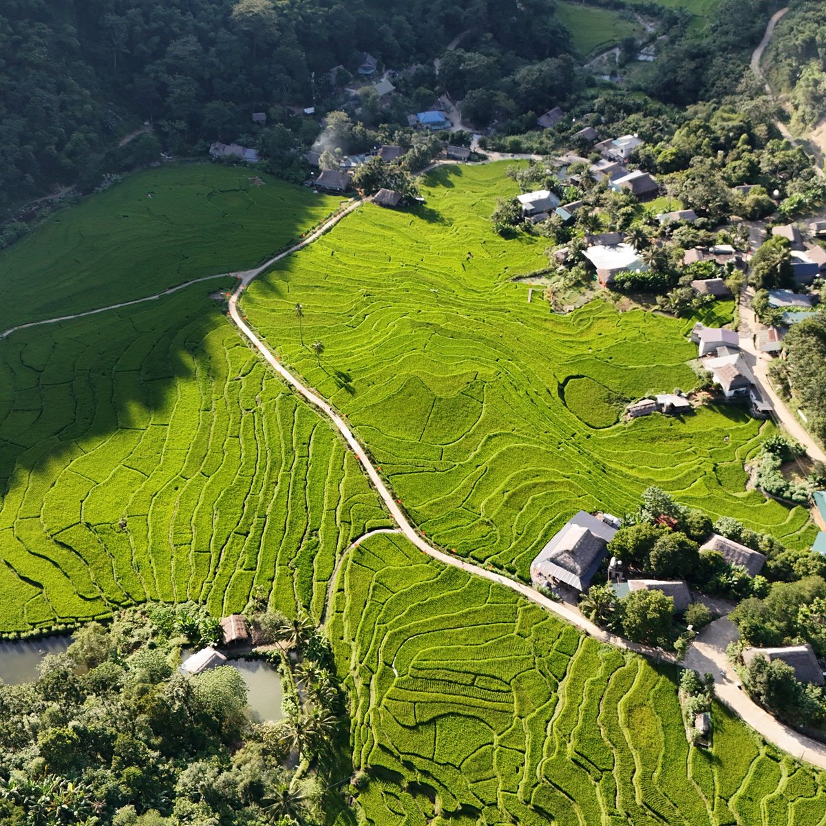 CarolynKalee's tweet photo. Ban But Village in Thanh Hoa offers an authentic glimpse into Thai ethnic culture, with stilt houses, rice fields, mountain scenery, and local cuisine. A peaceful escape to slow down and connect with nature. https://t.co/OzpzBSORQu