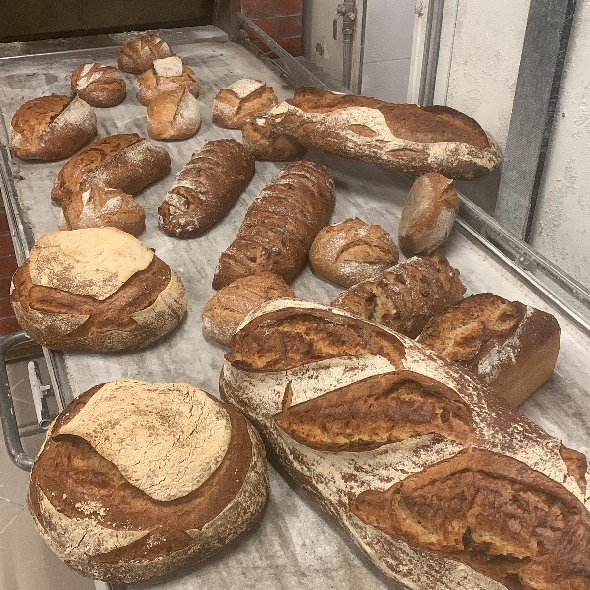 JoneshPSimpsGcX's tweet photo. Pains au levain : campagne, épeautre, meule, complet et noisette-miel. https://t.co/oSeMAMPG2L