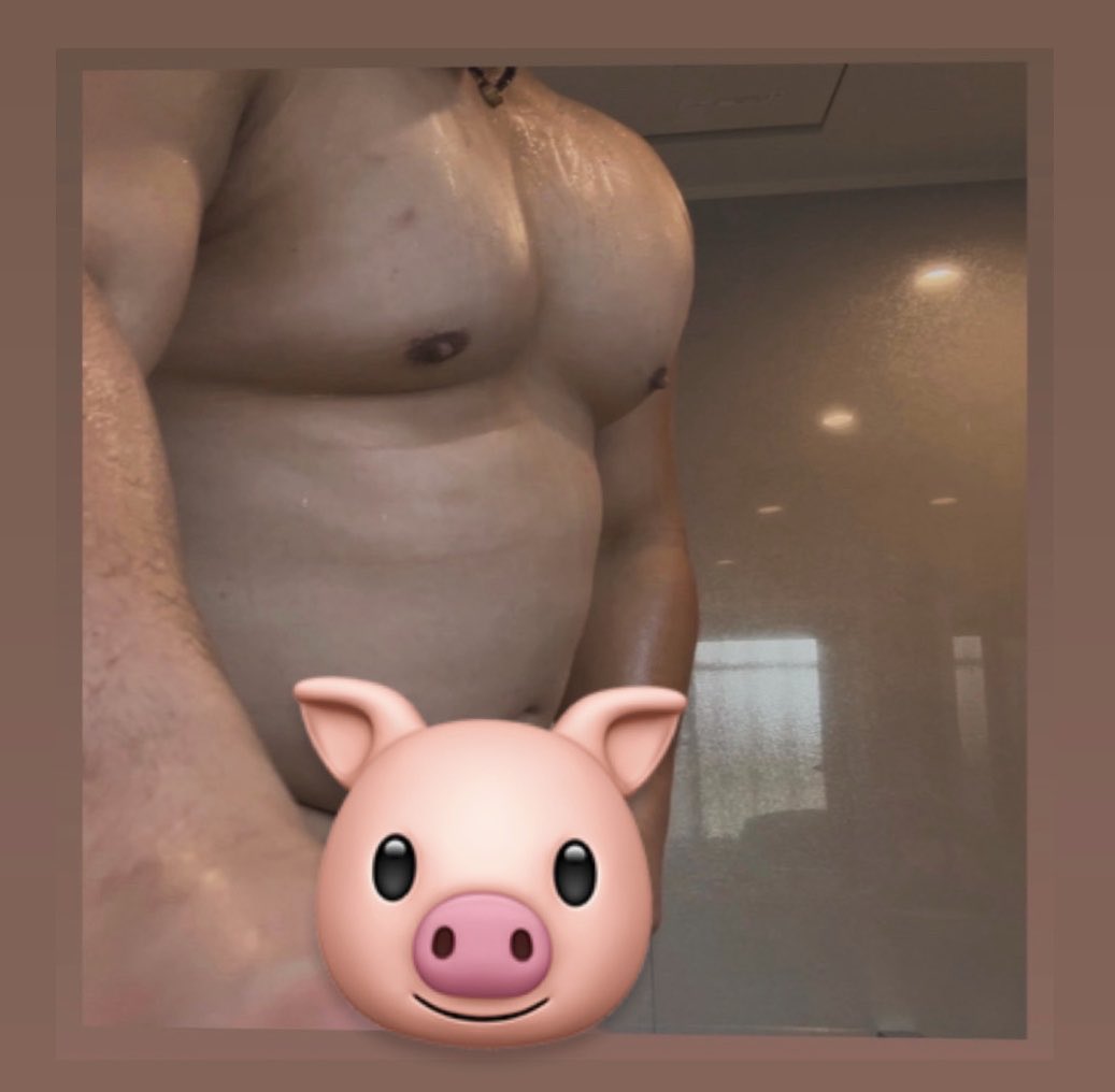 LIVE_st_'s tweet photo. 太り過ぎて🐷です。 https://t.co/xGNSlzxLOw