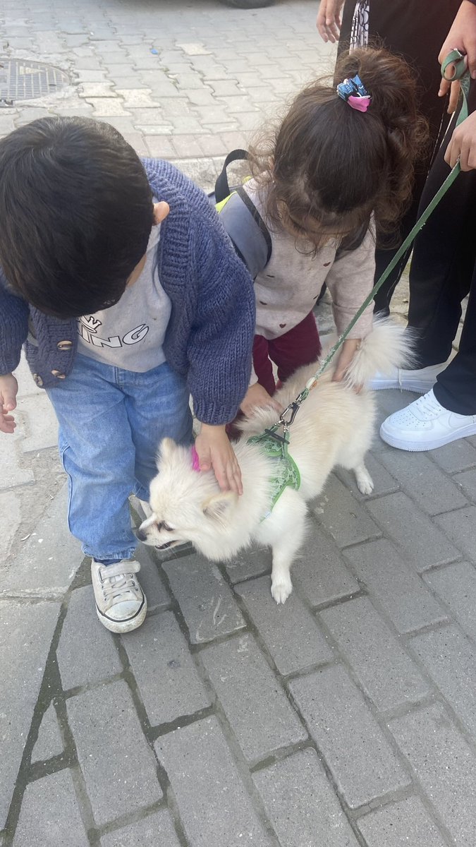 Niktofili__'s tweet photo. Yeğenlerimin teyzeleri gibi hayvansever olmaları 🫠🐾 
@fatmaguntan https://t.co/0ExlOsPAmF
