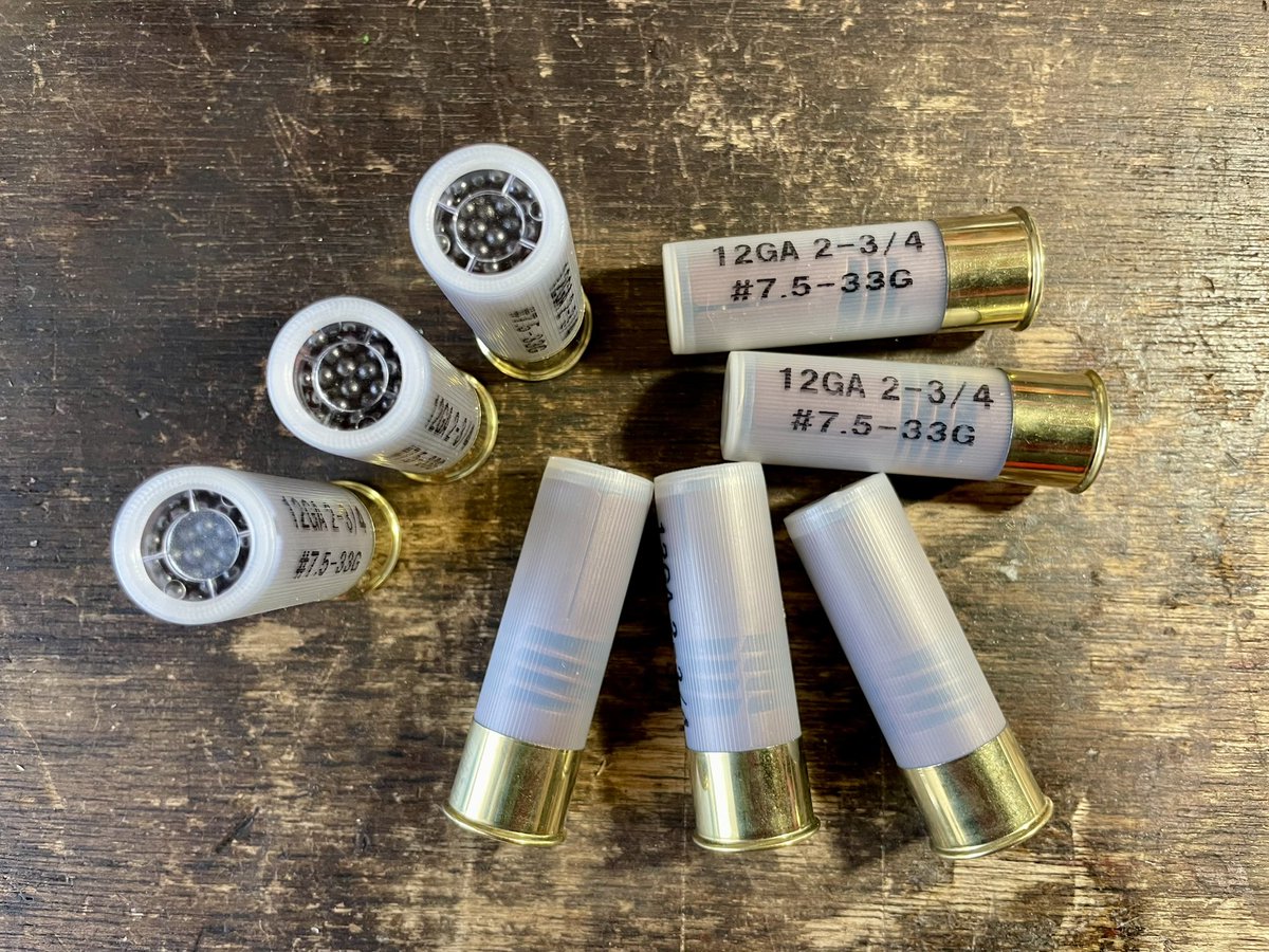 sgth45's tweet photo. 今週末は🔥🔥🔥メチャサバ🔥🔥🔥

This is not ammunition;
it is merely a dummy cartridge.

散弾、3種類。

000Buck 6P
#3-33G
#7.5-33G

比較的低価格『SABOT SLUG』4種類。

ShotShellのラインナップがガラッと変わります‼︎

#拡散希望
#メチャサバ
#BirdShot
#SabotSlug
#サージェンツハート https://t.co/QngJfUp4MD