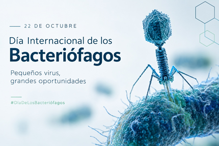 iplacsic's tweet photo. 🦠🔬 ¿Virus buenos? Los bacteriófagos son virus que infectan bacterias. Su especificidad los convierte en herramientas de gran interés para la investigación y para combatir bacterias no deseadas https://t.co/lP05ohjElU