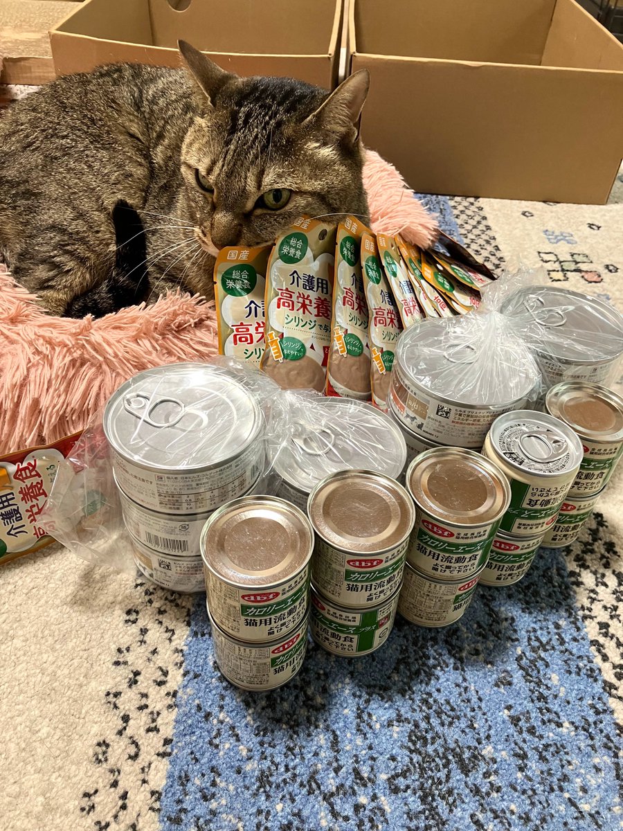 wanekocafe's tweet photo. 1号が心労でダウンしたため、2号がポストします。
同期の抹茶(もか)君と甜茶(らて)君から、ちゃい君にad缶や流動食缶、高栄養食パウチを沢山いただきました。
ありがとうございます。
残念ながら、ちゃい君にはあげられませんでしたが、まだ猫風邪と闘っているのあ君、そら君にあげたいと思います。 https://t.co/ib9IUt3tZg