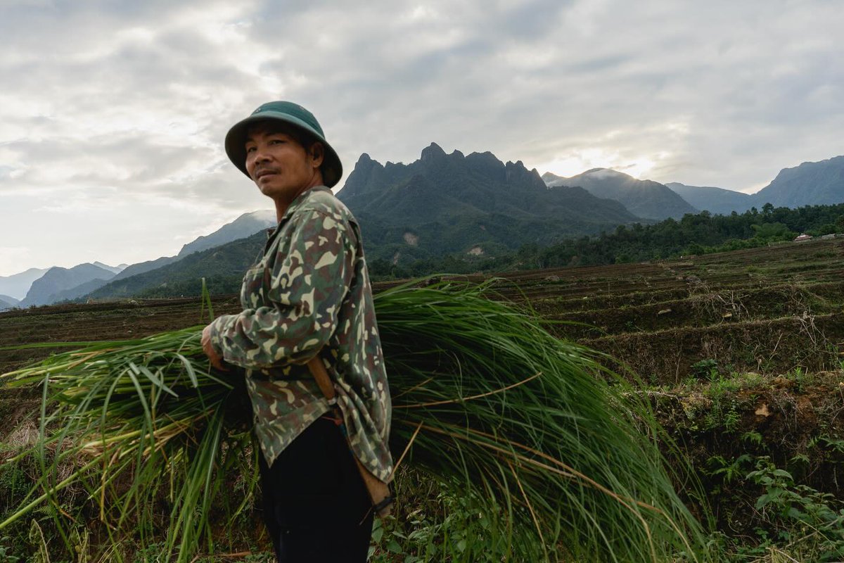 hanifeerduran's tweet photo. Retour à nos premières amours, les plus folles : le Nord Vietnam, en mai 2026. Première étape, Muong Hum, chez notre famille préférée, dans un village et une campagne qu’on adore. @charlyribeiro https://t.co/8ONYB3iFkX