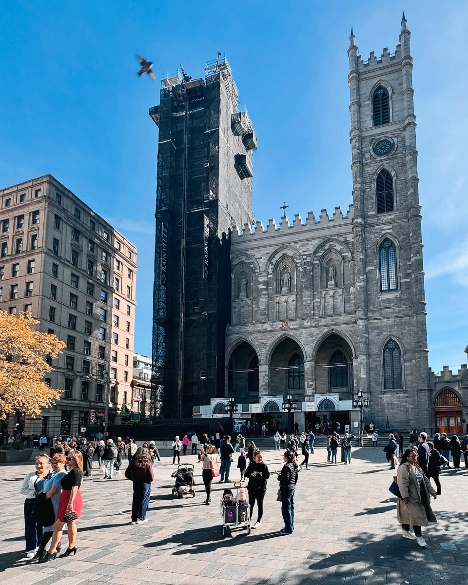 floe_s's tweet photo. Montreal surprised us with its quiet charm. From Old Montreal and Place d’Armes to the kids chasing pigeons and coffee at Crew Collective &amp; Café, every moment felt warm, simple, and unforgettable. https://t.co/zqzxfGVcdx