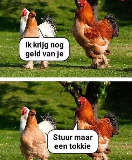 CarlosBon200's tweet photo. @chrisklomp @NJHoekman Tokkie Chris de bedelaar.... https://t.co/4MEsSSj9Wu