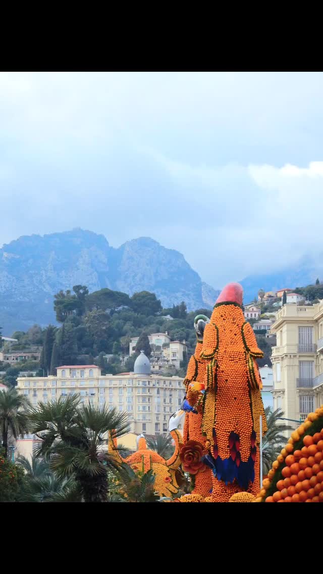 WENDOLINOROSCO's tweet photo. 92ème Fête du Citron® sur la Côte d’Azur. https://t.co/BURi9BVwR6